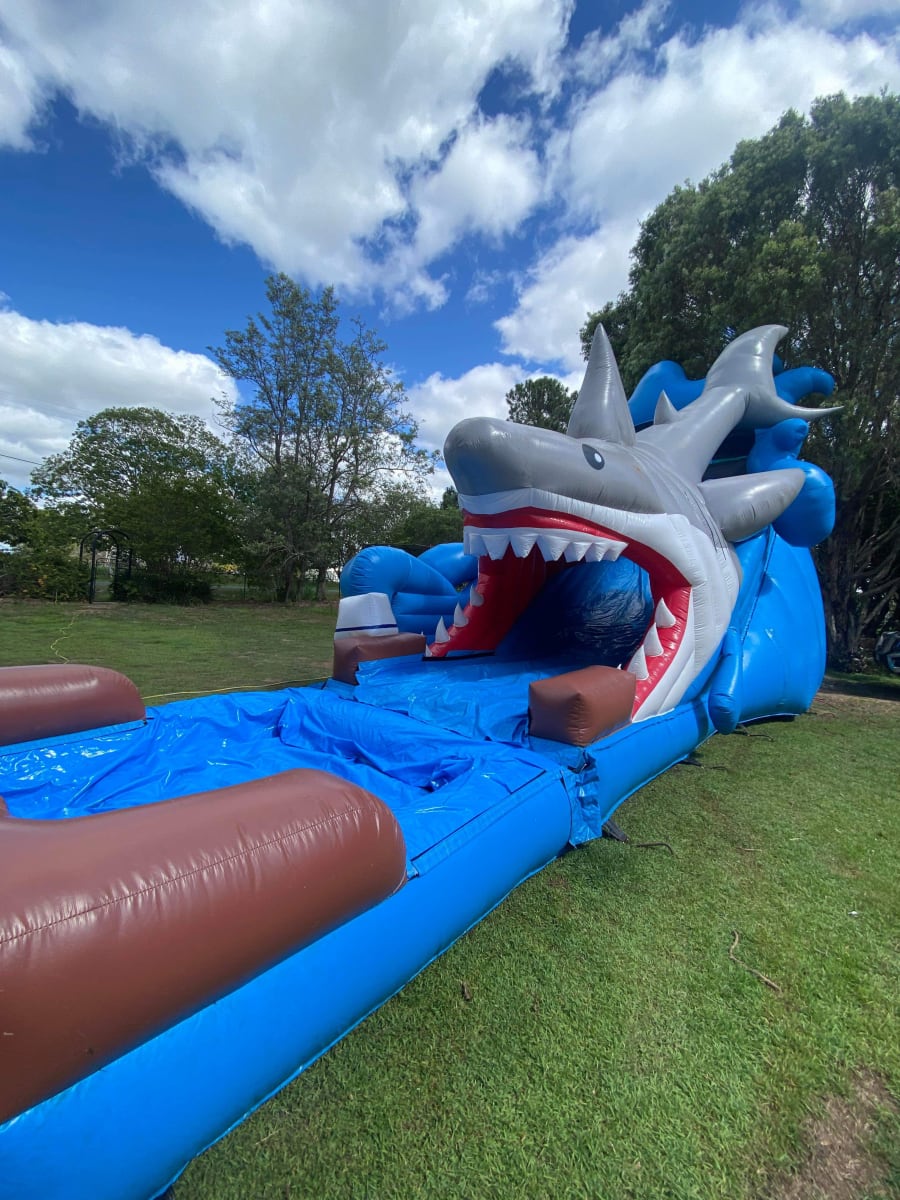 3D Shark Waterslide
